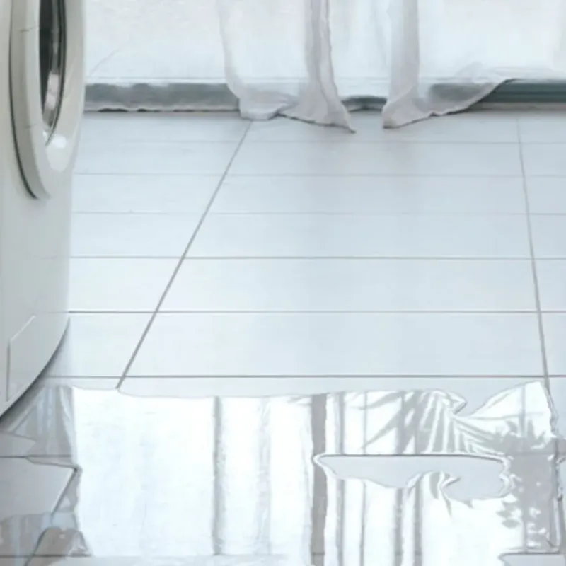 Appliance Leak Cleanup in Stark County, IL