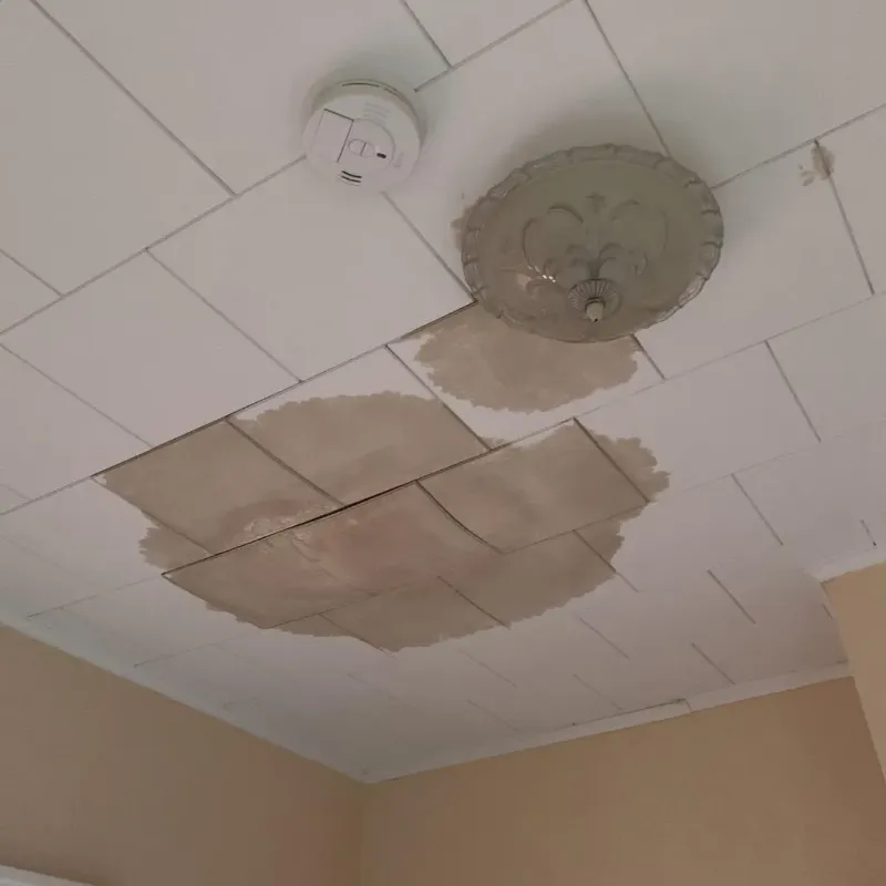 Ceiling Water Damage Repair in Stark County, IL