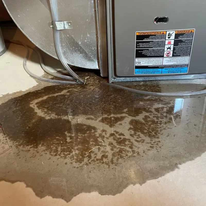 Pipe Burst and Leak Restoration in Stark County, IL