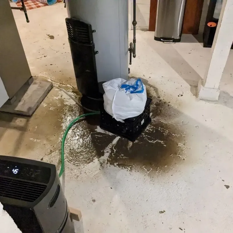Sewage Backup Cleanup Service in Stark County, IL